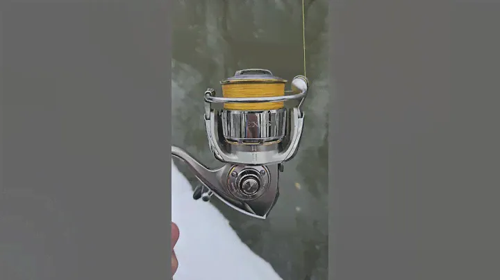 Один из любимых комплектов на щуку Graphiteleader Vivo GVOS-6112 ML + Daiwa Exist 2508R #рыбалка